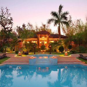 Tuli Tiger Resort
